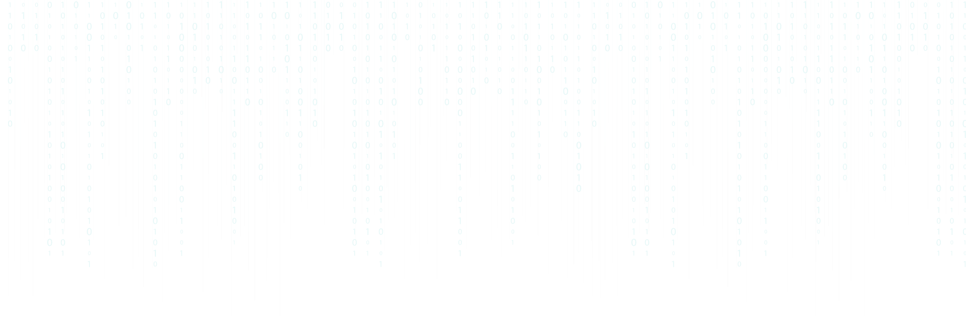 .NET Developer  Full Stack | Twilio API Developer